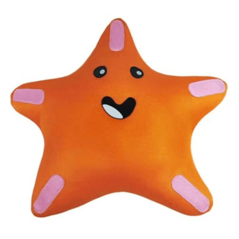 Puff Estrela Flutuante